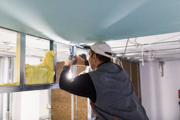 Best Insulation Contractors for Homes  in Norristown, PA
