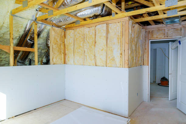 Best Insulation Removal  in Norristown, PA