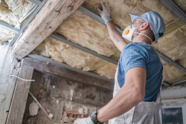 Best Insulation Replacement Services  in Norristown, PA