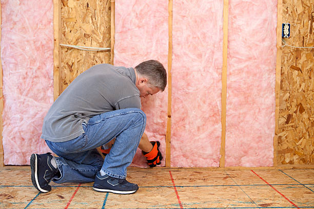 Best Fiberglass Insulation  in Norristown, PA