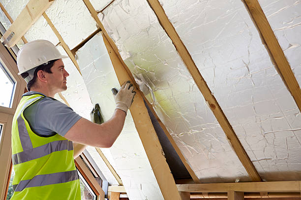 Best Insulation Removal  in Norristown, PA